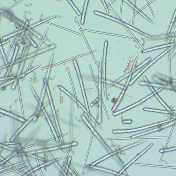 ISOV Meso Spicule Cream - Image 5